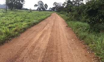 Imagem 5: 180 Alqs Dupla Aptidão Melhor Região Barrolândia TO