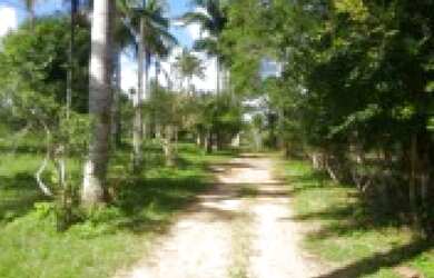 Imagem 2: Lotes com 900 m2 financiados em 50 meses a menos de 8 min da praia de mangue seco