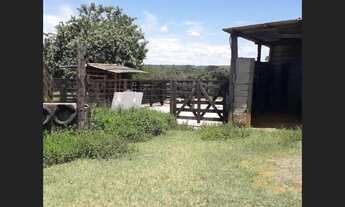 Imagem 7: Fazenda de 25 ha com alambique em Caetanópolis mg