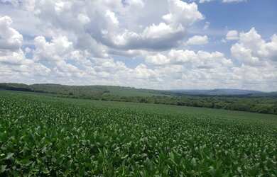 Imagem 6: FAZENDA NO MUNICIPIO DE MINEIROS - GO