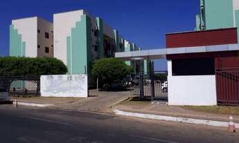 Imagem: Delta do Parnaíba