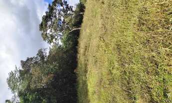 Imagem 5: Terreno de 10 há em Piedade dos Gerais MG