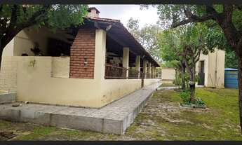 Imagem 7: CÁCHARA 2.6 HC BREJINHO