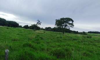 Imagem 7: R$800 mil fazendola 52 hectares a 20 km de Castanhal PA documentada