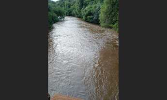 Imagem 5: Chácara 2 alqueires a 5 Kilometros de jardim alegre PR a 2 km do asfalto