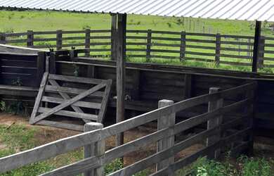 Imagem 6: FAZENDA PERTO DE CUIABA MT COM 174 HECTARES