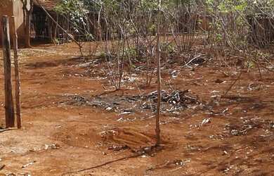 Imagem 4: EXCELENTE TERRENO