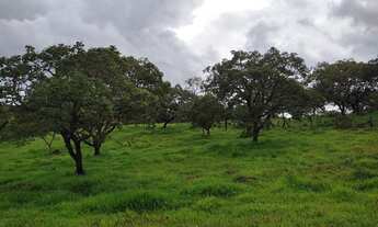 Imagem 2: Terreno de 10 mil plano com água em Itaguara MG