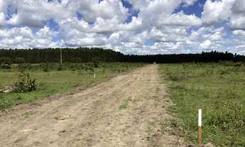 Imagem: Chácara de 1500m² por R$45.000,00 próximo