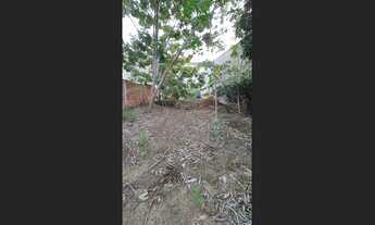 Imagem 5: Lote 665mt em Colatina Córrego da Lavra