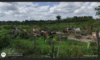 Imagem 2: 200 hectares pronta e documentada sentido Capanema