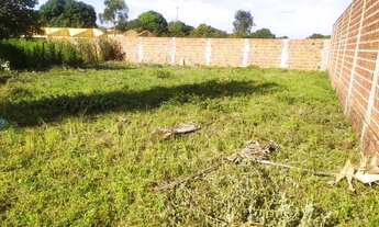 Imagem 7: TERRENO URBANO MURADO - SANTA FÉ - PEDRO II / PI