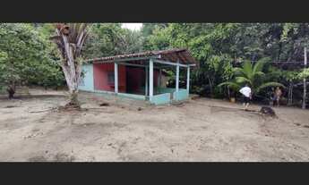 Imagem 3: Sítio por R$79.999 mil reais 150x60 sentido Marapanim