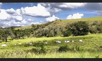 Imagem: Fazenda de 107 há em Oliveira MG
