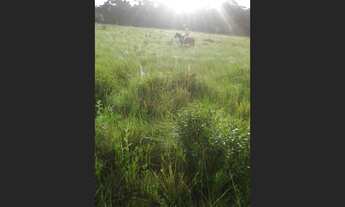 Imagem 3: Fazenda em Paranatinga -MT