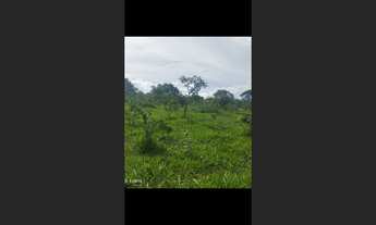 Imagem 3: Terreno de 44 há em Cláudio MG