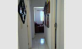 Imagem 3: Alpha class aruana