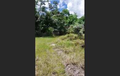 Imagem 4: Oportunidade na Linha Verde