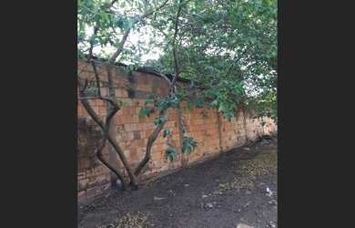 Imagem 3: VENDA DE CASA 2 QUARTOS NO JARDIM BRASÍLIA SUL