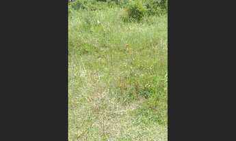 Imagem: Terreno no Jardim Das Palmeiras em Itanhaém