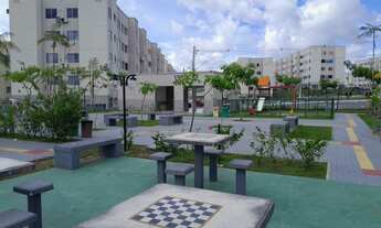 Imagem: Viva Vida Flores