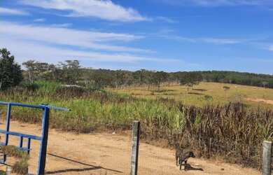 Imagem 6: Fazenda de 60 ha em Itapecerica MG