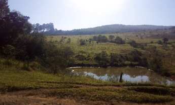 Imagem 2: FAZENDA DE 164,5 HECTARES