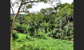 Imagem 2: Fazenda Boa Sorte em Ibirataia