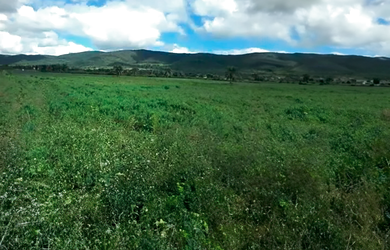Imagem 2: Terreno de 13.000m2 em Jacobina