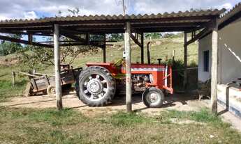Imagem 4: Fazenda com 40 Alqueires para Venda em Pariquera-Açu / SP