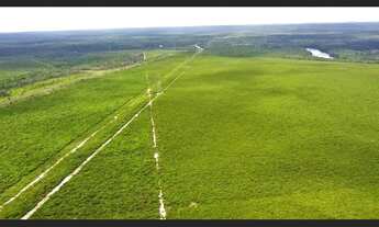 Imagem 5: Fazenda à venda com 4500 hectares em Brasnorte MT