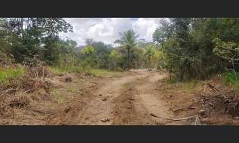 Imagem 3: Excelente fazenda para investimento