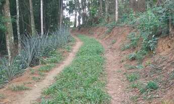 Imagem 2: VENDE-SE, SÍTIO, CONCEIÇÃO DE MACABU-RJ