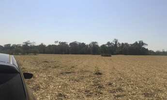 Imagem 6: Fazenda As Margens Do Rio Tietê