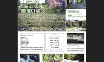 Imagem: Fazenda em camamu