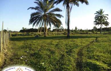 Imagem 4: Criar Camarão intensivo com Tecnologia OverLap