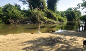 Imagem 2: 116 Alqs Excelente Em Tudo Região Bandeirantes do TO