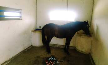 Imagem 2: Excelente lote residencial com 750 m² no Condomínio Fazenda Real 3 - Macaíba