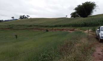 Imagem 4: Ótima fazenda - Dom Viçoso - Minas Gerais
