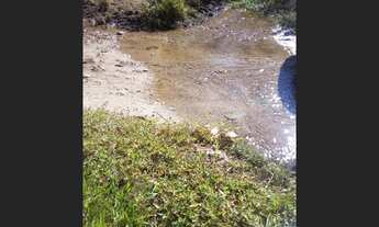 Imagem 3: FAZENDA DE 164,5 HECTARES