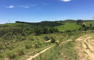 Imagem 6: Fazenda de 116 há em Barbacena MG