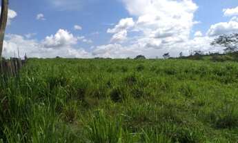 Imagem 3: 300 hectares fazenda a 130 km de Belém toda documentada por R$3 milhões