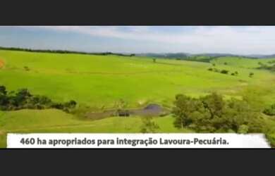 Imagem 6: Fazenda de 722 há Oeste Mineiro MG