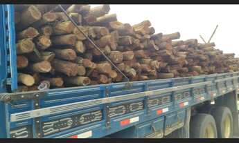 Imagem 2: VENDO ESTACAS SABIÁ