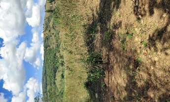 Imagem 2: Terreno de 60 há em Oliveira MG