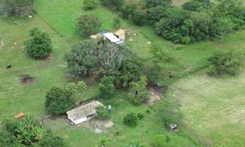 Imagem 2: Fazenda Fátima Tocantins