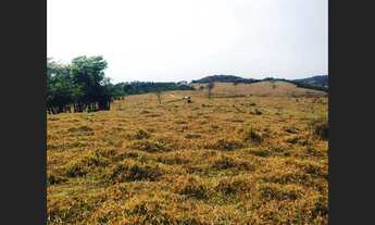Imagem: Fazenda de 130 ha em Oliveira