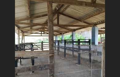 Imagem 2: Fazenda de 10 ha em Carmo da Mata