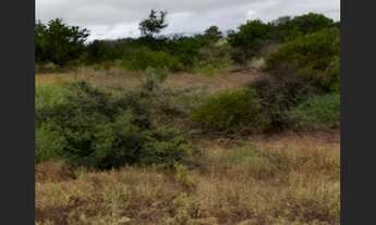 Imagem: Amplo Terreno em Jacobina - 12.900 m²