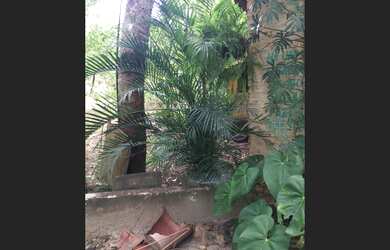 Imagem 4: Sitio 6 ha – estrada Teresina-União